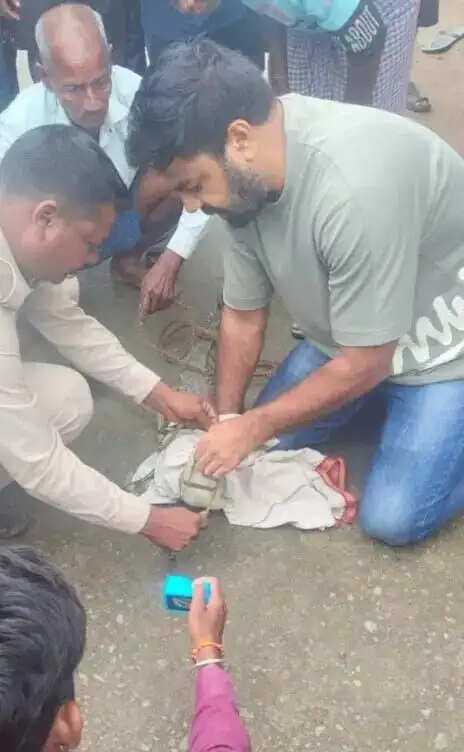 कोरबा के तरदा गांव में घर के पास दिखा 4.5 फीट लंबा मगरमच्छ, सुरक्षित रेस्क्यू