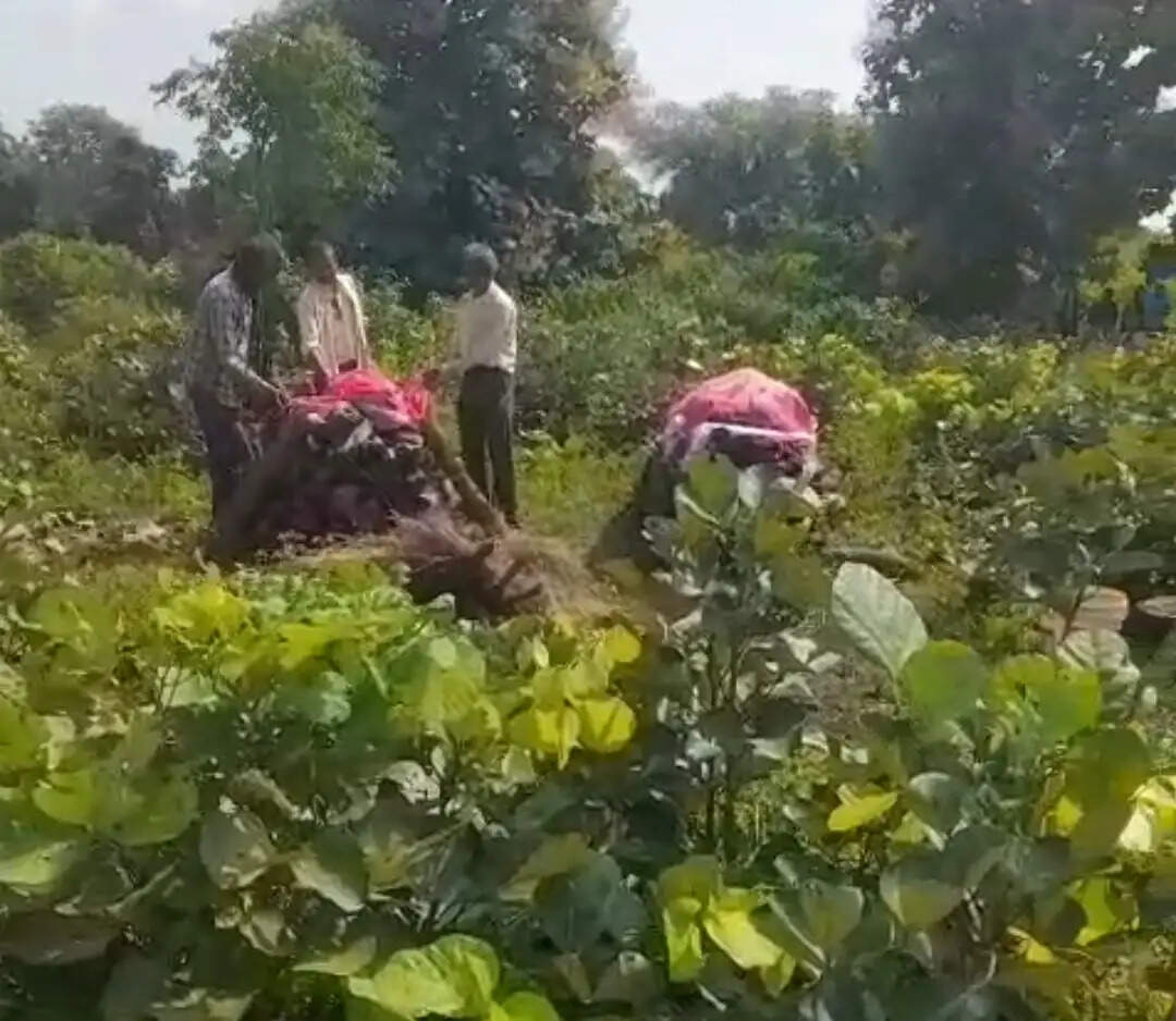 जबलपुर : सर्पदंश से पिता की मौत, शव घर पहुंचते ही सदमे में बेटी के प्राण निकले