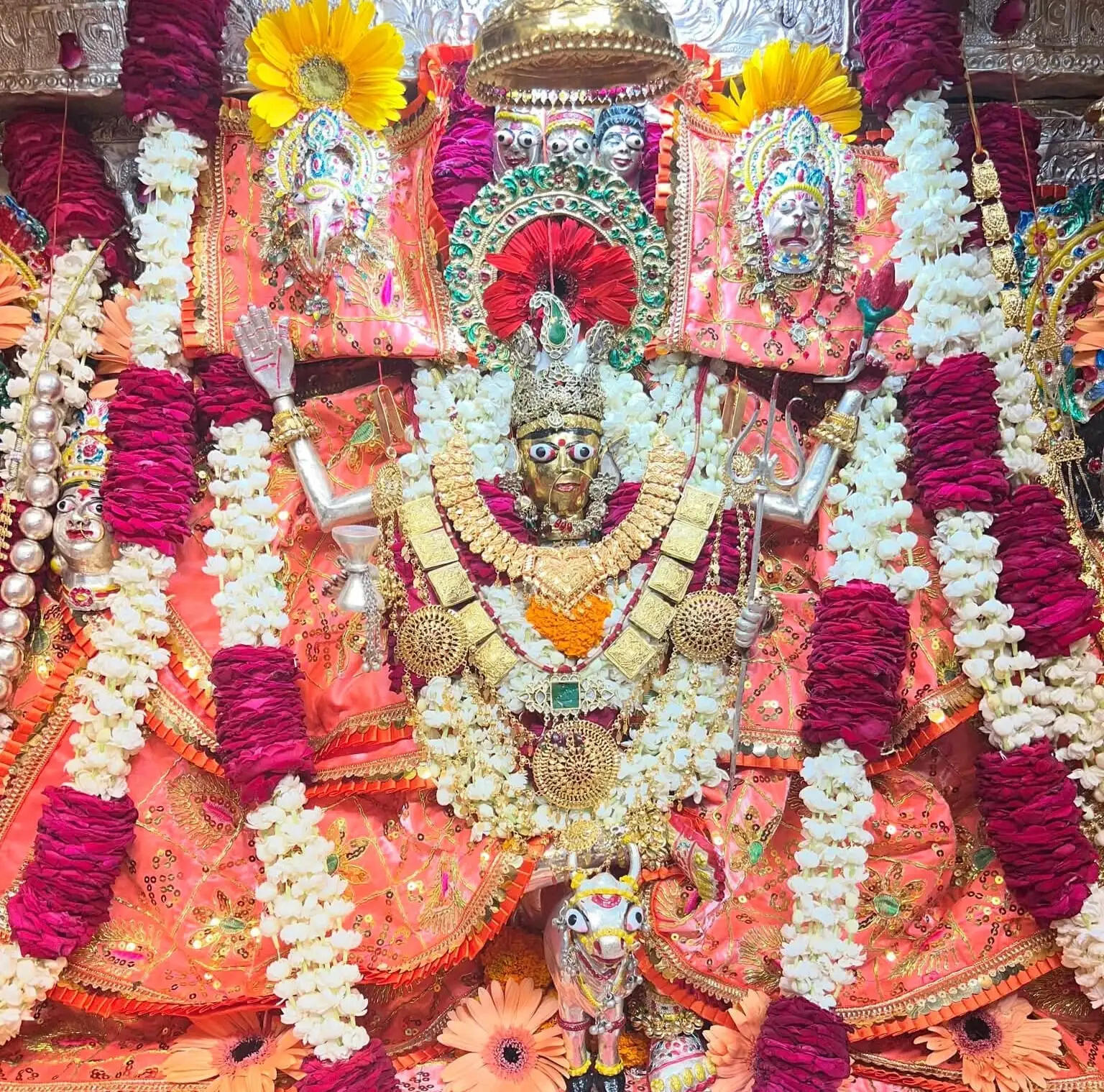 वृषभ पर सवार मां महागौरी ने भक्तों को दिए दिव्य दर्शन, जयकारों से गूंजा कल्याणी धाम