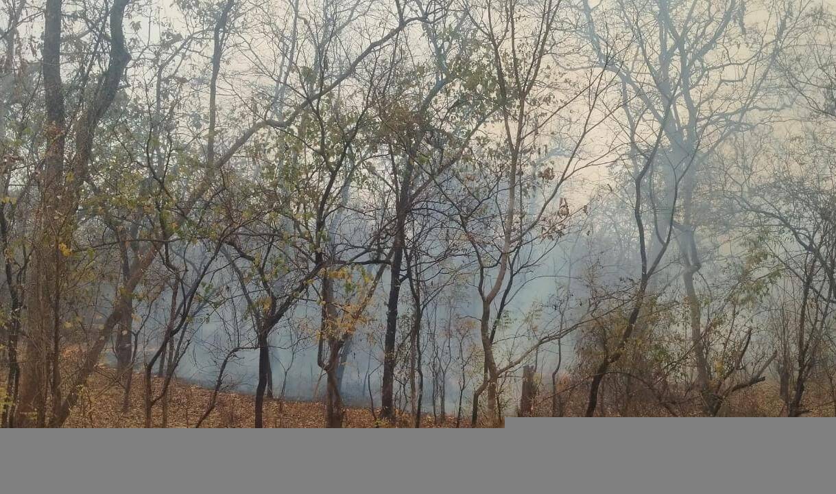 केरेगांव के जंगल में लगी आग, बुझाने वाला कोई नहीं