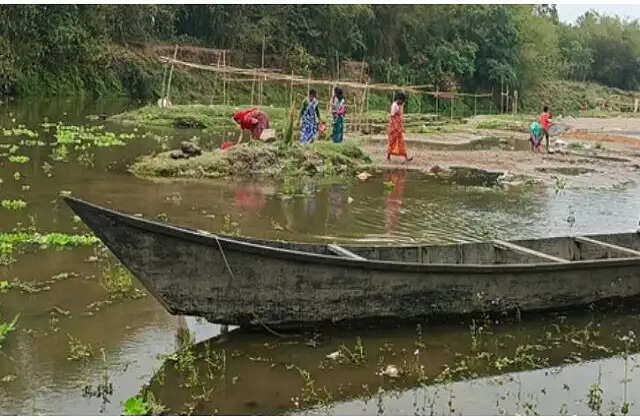 नदी में बड़ी संख्या में मरी मछलियां मिलने से सनसनी