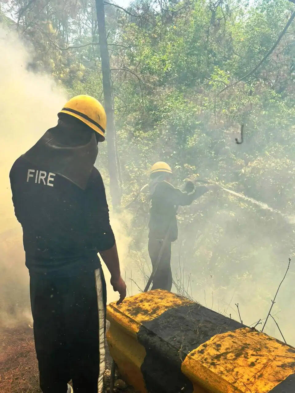 हल्द्वानी रोड पर बेलुवाखान के समीप जंगल में लगी आग, अग्निशमन कर्मियों ने बुझाई