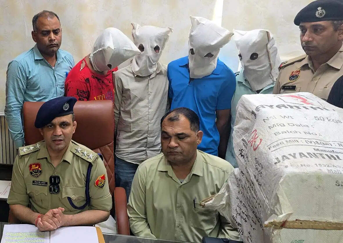 हांसी में 63.7 किलो गांजे के साथ चार गिरफ्तार