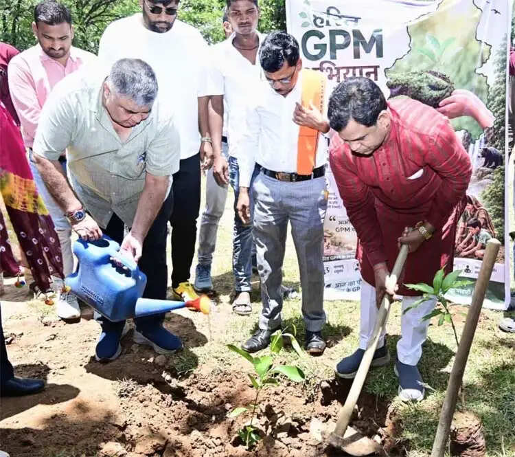 मंत्री राजेश अग्रवाल ने किया पौधरोपण, हरेली पर हरित जीपीएम का संकल्प