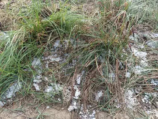 राजस्थान में बारिश, ओले और कोहरे से बढ़ी ठंडक