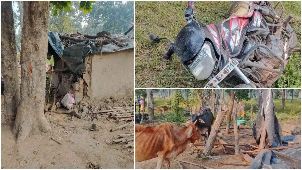 हाथियों के झुंड ने मकानाें काे किया तहत नहस, खूंटे से बंधे मवेशियों काे कुचलकर उतारा माैत के घाट