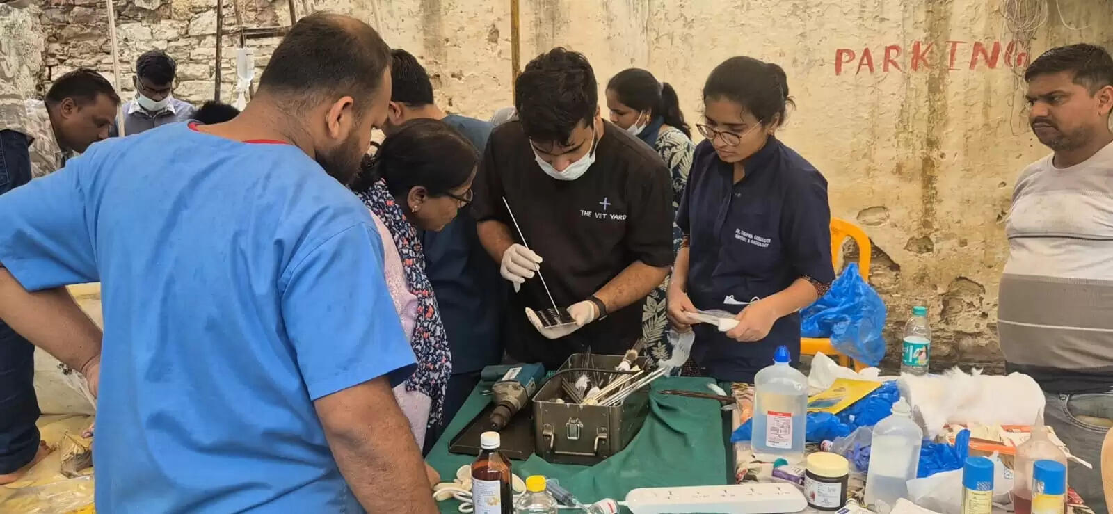 दमोहःनिराश्रित गौ वंश की सेवा और घायलों की शल्य चिकित्सा