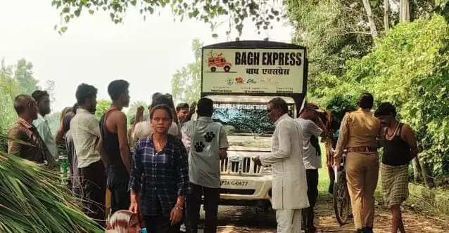 मुरादाबाद : तेंदुआ प्रभावित क्षेत्रों में वन विभाग की व्यापक कार्रवाई, 19 ट्रैपिंग केज लगाए गए
