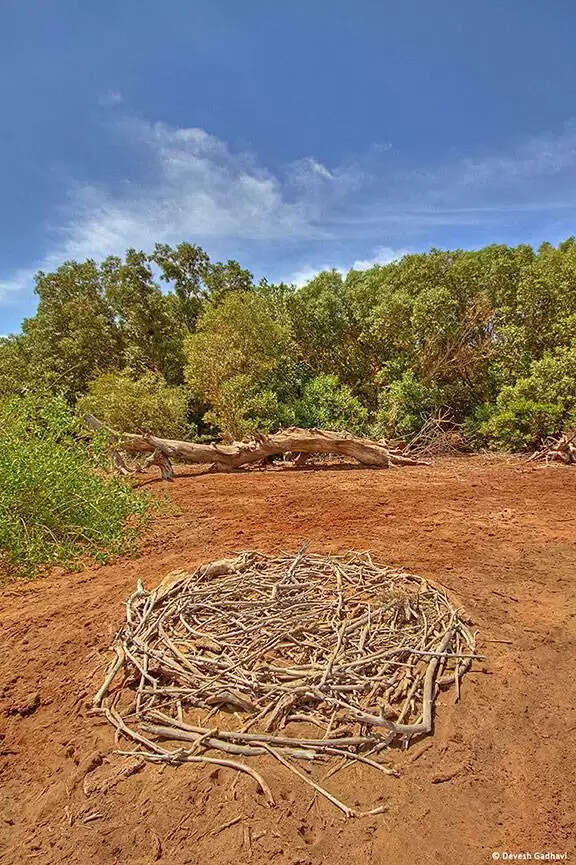 कच्छ के गुनेरी गांव का 32 हेक्टेयर से&nbsp;अधिक क्षेत्र गुजरात की प्रथम ‘बायोडाइवर्सिटी हेरिटेज साइट’ घोषित&nbsp;