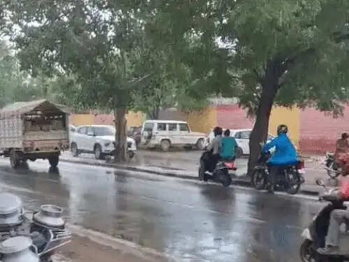 जोधपुर में सामान्य से आठ प्रतिशत ज्यादा बारिश