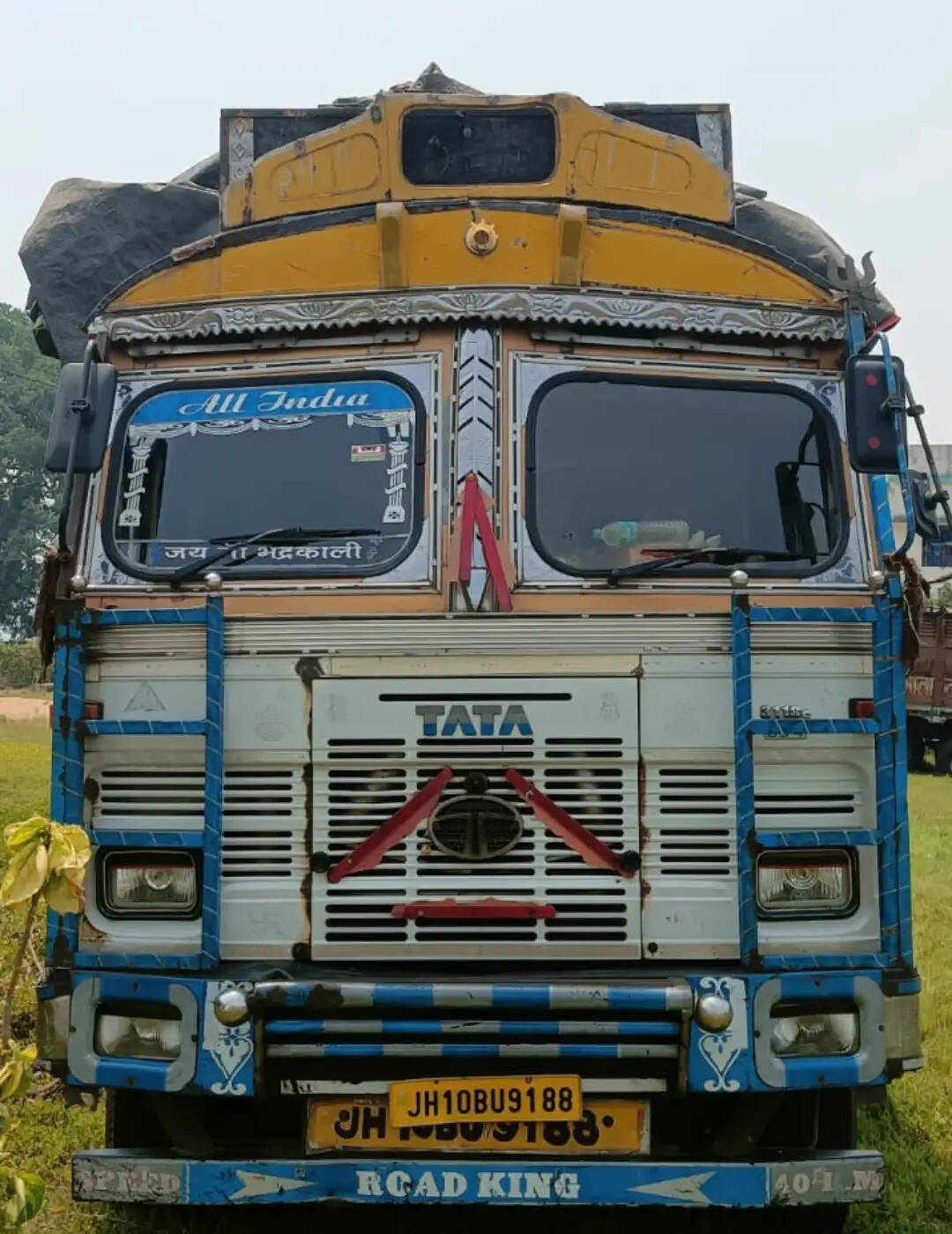 अवैध लकड़ी तस्करी मामले में ट्रक जब्त, चालक सहित तीन नामजद