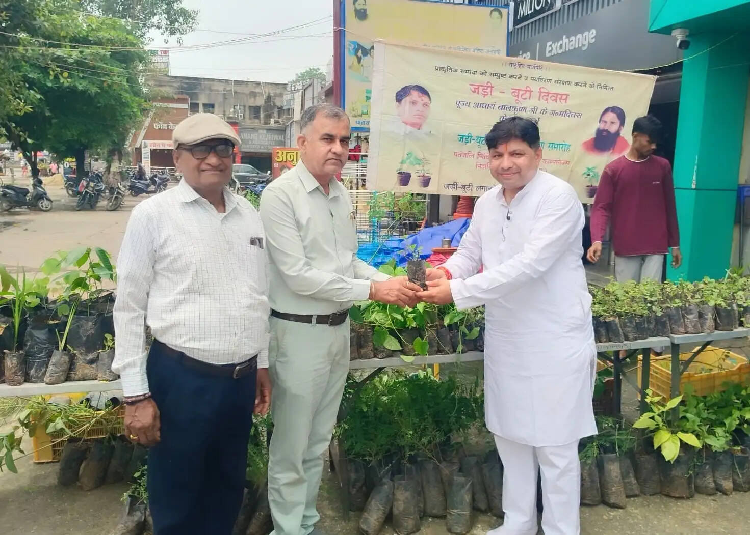 आचार्य बालकृष्ण के जन्मदिवस पर कोरबा में मनाया गया जड़ी-बूटी दिवस, 37 प्रकार के औषधीय पौधों का निःशुल्क वितरण
