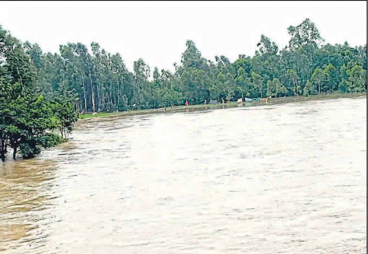 मुरादाबाद में पिछले चौबीस घंटे में लगभग 195.37 मिमी बारिश