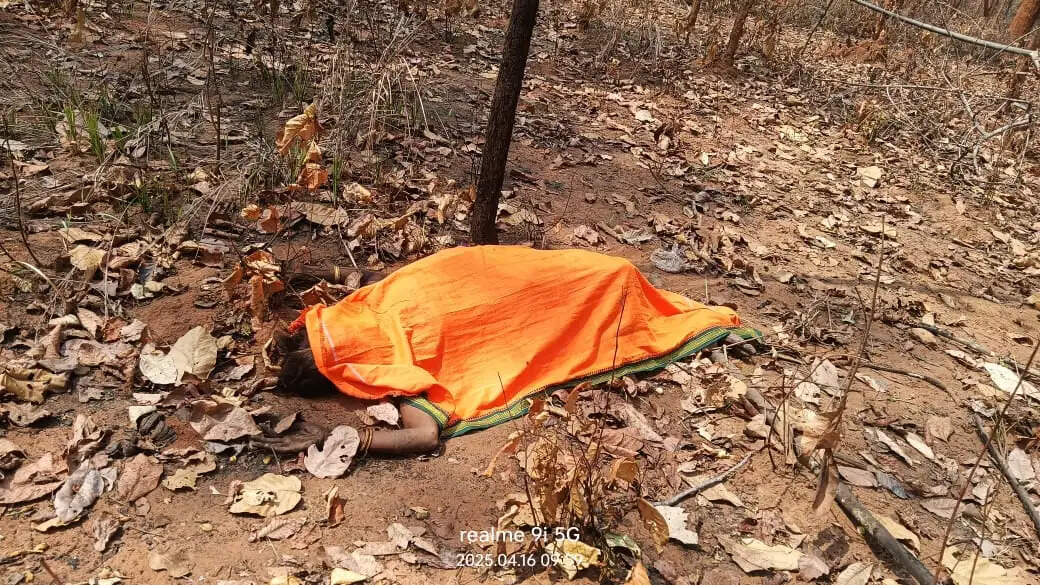 बलरामपुर जिले में जंगली हाथियों का आतंक जारी, 16 दिनों में हाथी के हमले से छह लोगों की मौत, दहशत में ग्रामीण