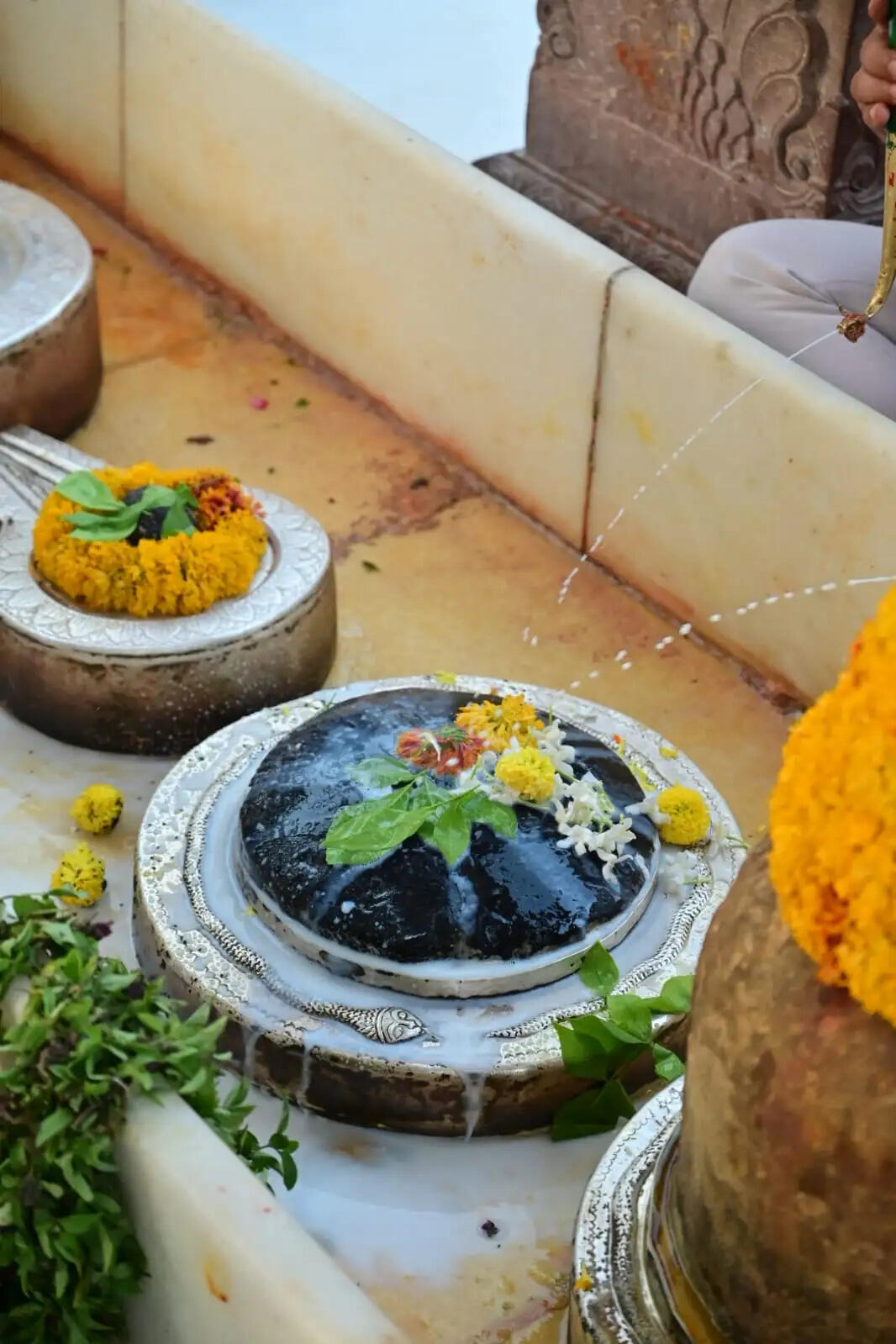 वाराणसी: श्री शनिदेव की जयंती पर काशी विश्वनाथ मंदिर के नवग्रह मंडप में रूद्राभिषेक