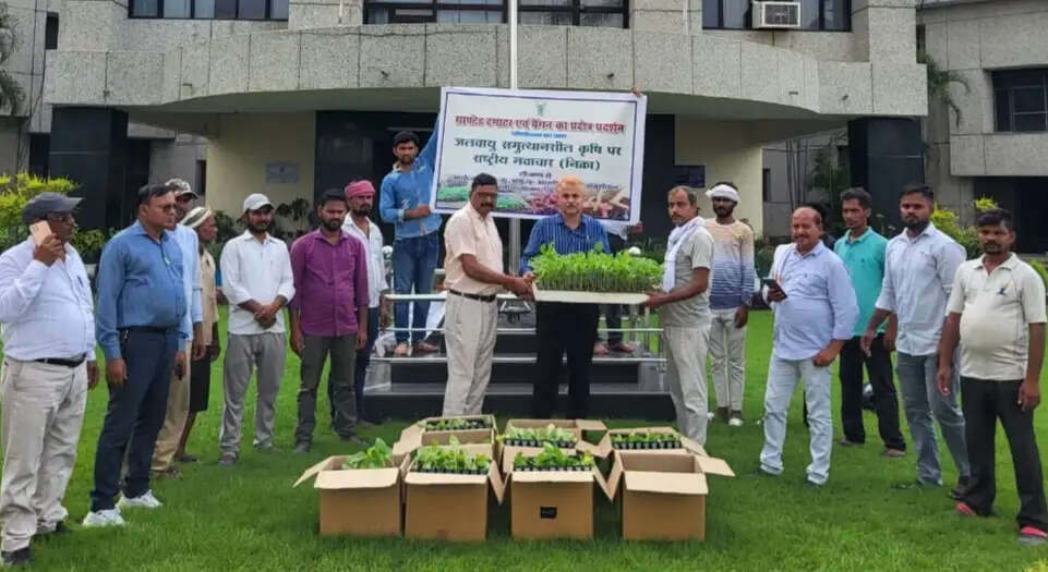 आईआईवीआर ने किसानों को बांटे ग्राफ्टेड बैंगन के पौधे, आधुनिक खेती अपनाने पर दिया जोर