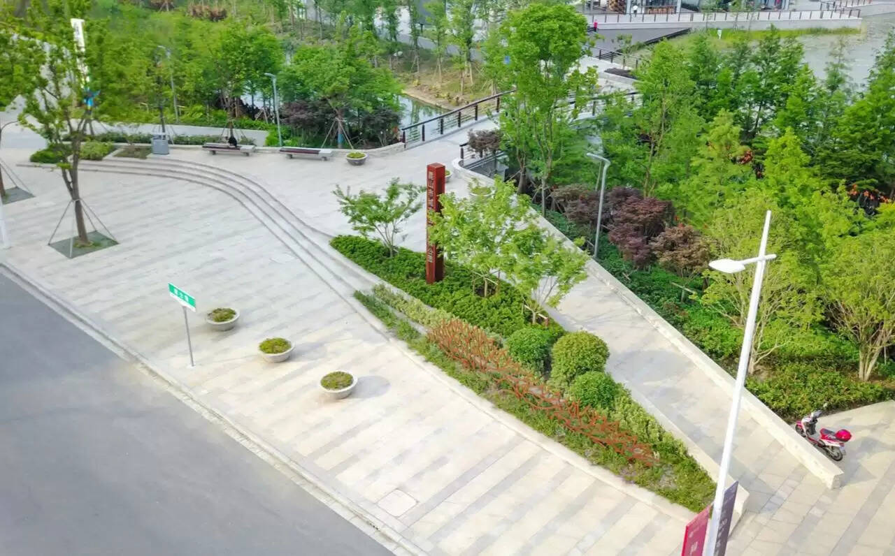 अब सिटी फारेस्ट होगा नए लुक में, विदेशों जैसा रहेगा नजारा