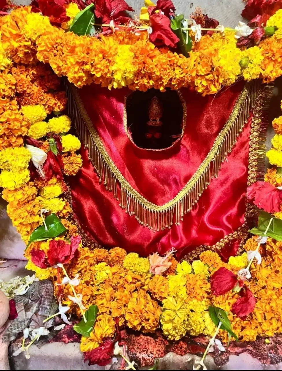 मीरजापुरः गड़बड़ा धाम में 20 हजार श्रद्धालुओं ने किए मां शीतला के दर्शन