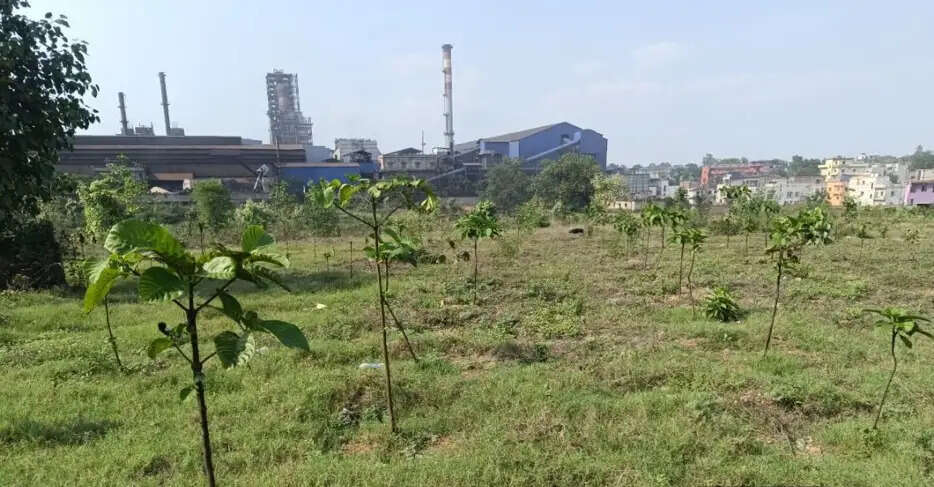 पर्यावरण संरक्षण के क्षेत्र में बीएफसीएल कर रहा है निरंतर कार्य