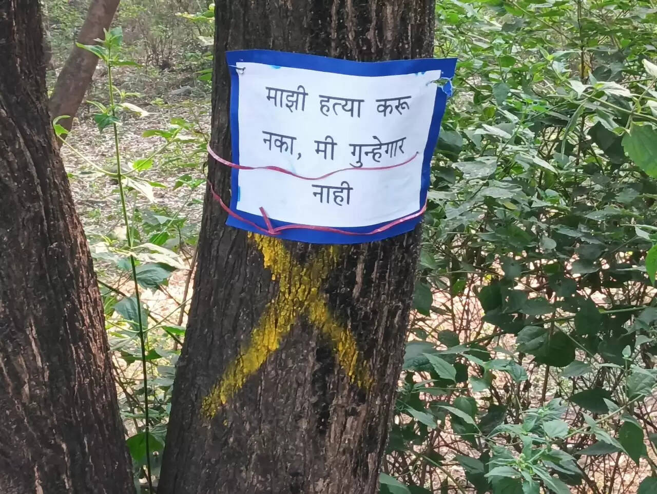 ठाणे मनोचिकित्सालय में पेड़ कटने पर सीएम का जांच का आदेश