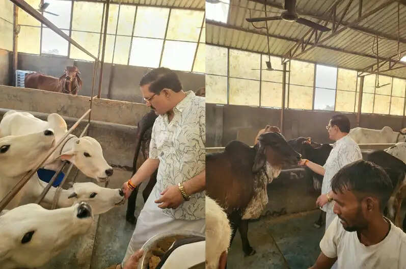 मथुरा केएम विश्वविद्यालय में शारदीय नवरात्र पर सप्तशती चंडी महायज्ञ