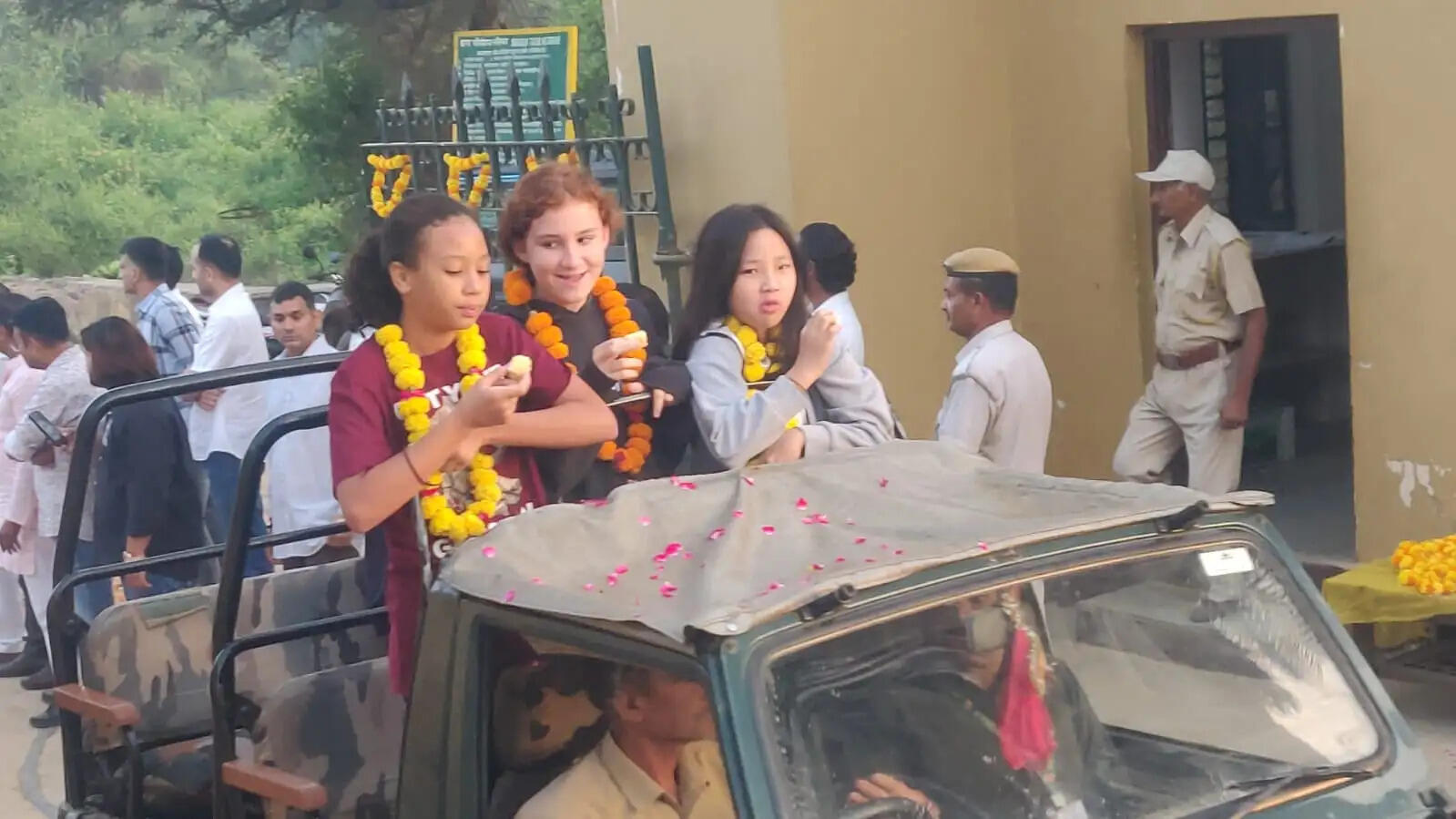 तीन महीने बाद सरिस्का टाइगर सफारी हुई शुरू - 56 बाघों की चहलकदमी के बीच पर्यटकों का हुआ स्वागत