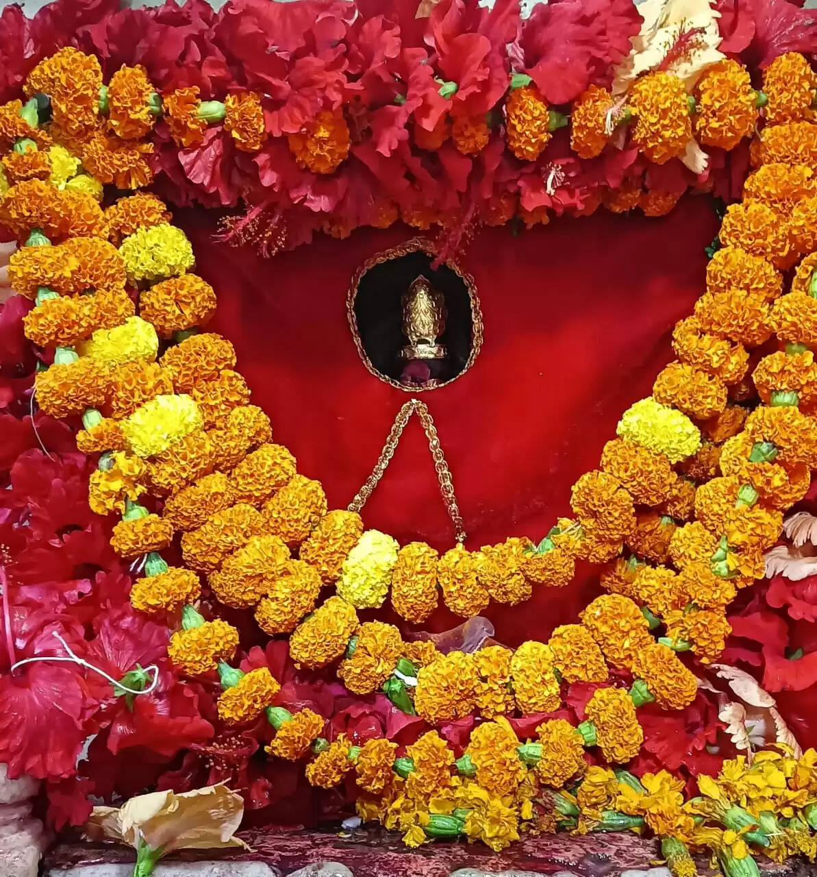 शारदीय नवरात्र के तीसरे दिन गड़बड़ा धाम में उमड़े 40 हजार श्रद्धालु