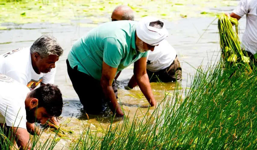 नदियों के उद्गम स्थलों को स्वच्छ और सुरक्षित रखना हम सभी का कर्तव्य : मंत्री पटेल