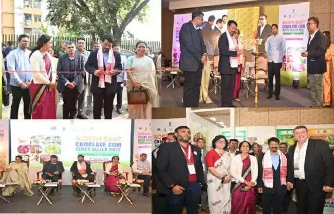 एपीडा ने नॉर्थ ईस्ट ऑर्गेनिक कॉन्क्लेव कम बायर-सेलर मीट का आयोजन किया