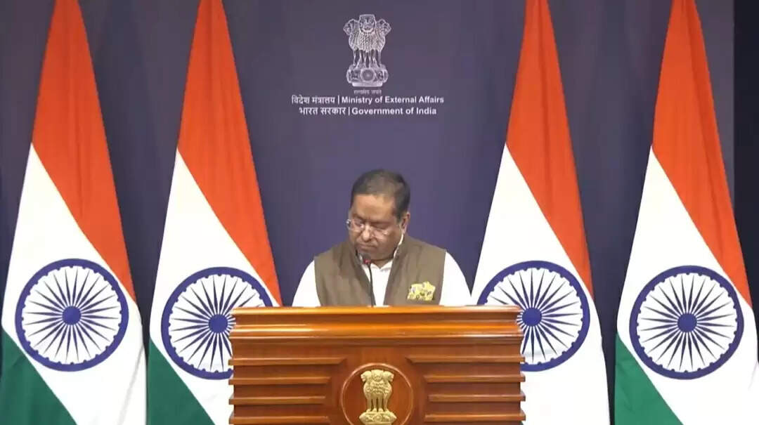 (अपडेट) विविध स्रोतों से किफायती ऊर्जा हमारी प्राथमिकता : विदेश मंत्रालय