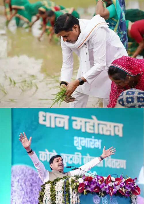 सिवनीः हलधर किसान सिर्फ अन्नदाता नहीं, इस धरा के वास्तविक शुभंकर -मुख्यमंत्री
