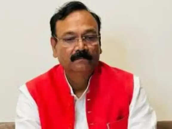 बिहार चुनाव : शिवहर लोकसभा क्षेत्र की जिम्मेदारी संभाल रहे आगरा से भाजपा सांसद राजकुमार चाहर