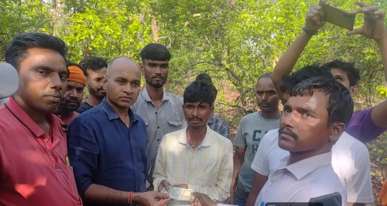 हाथी के हमले से एक महिला की माैत