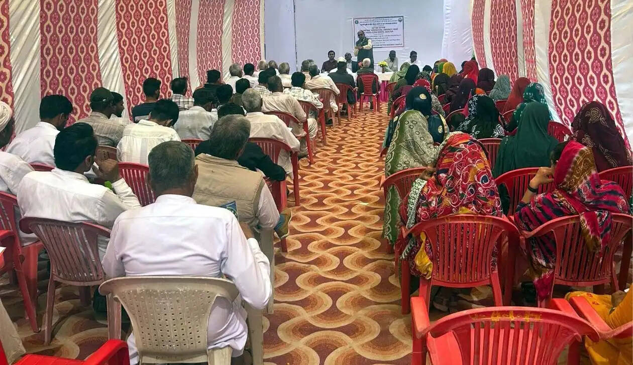 हिसार : कपास फसल में गुलाबी सुंडी की रोकथाम पर प्रशिक्षण आयोजित