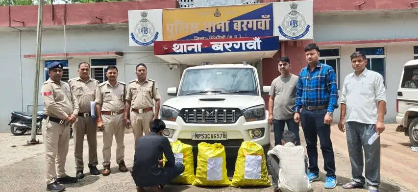 मप्र: 'नशे से दूरी है जरूरी 2.0' अभियान से पहले कार्रवाई, दो दिनों में 61 लाख से अधिक के मादक पदार्थ जब्त