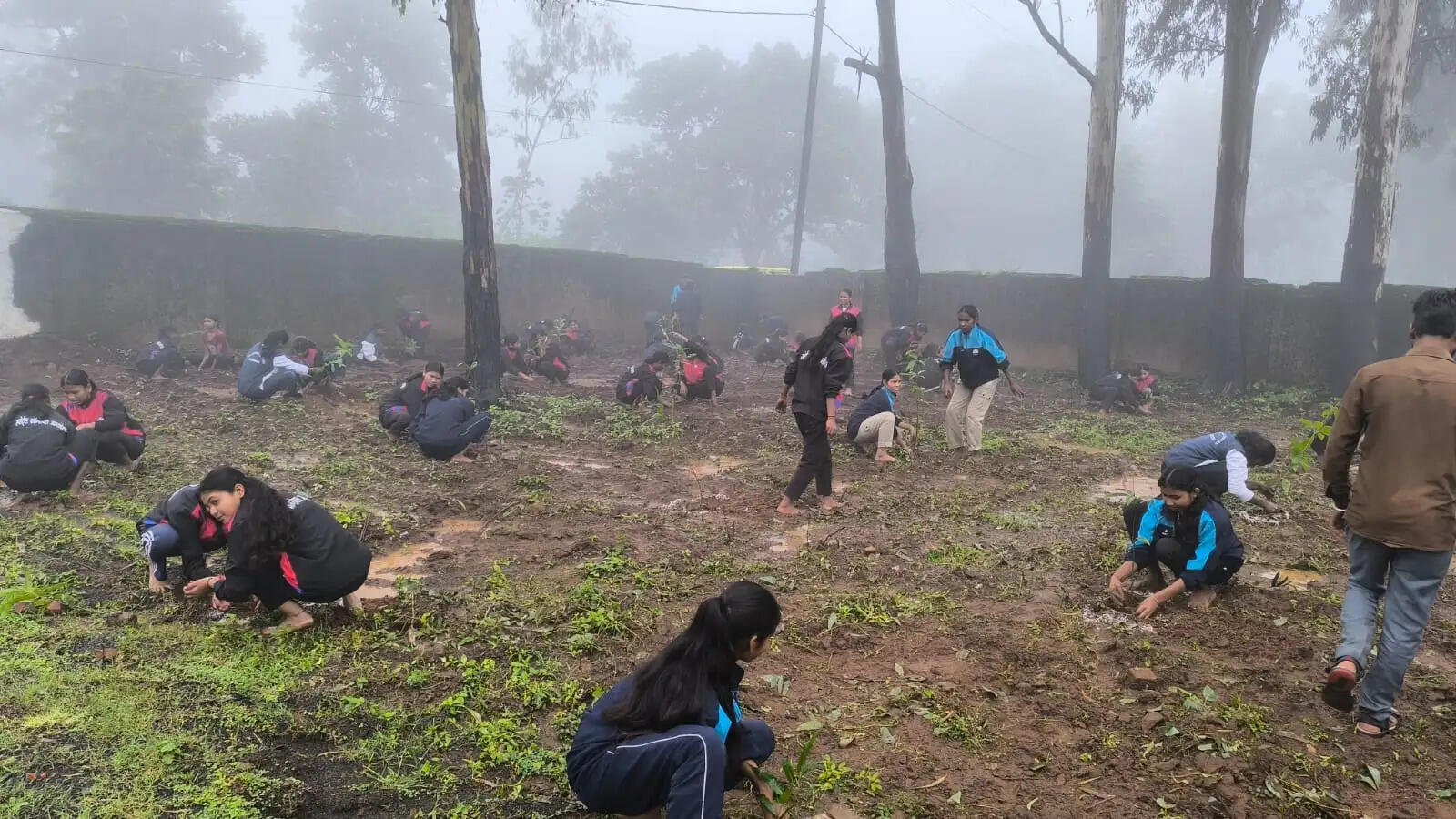 अनूपपुर: अमरकंटक में 'अमृत हरित महा अभियान' के तहत 3 हजार पौधों का वृहद पौधारोपण