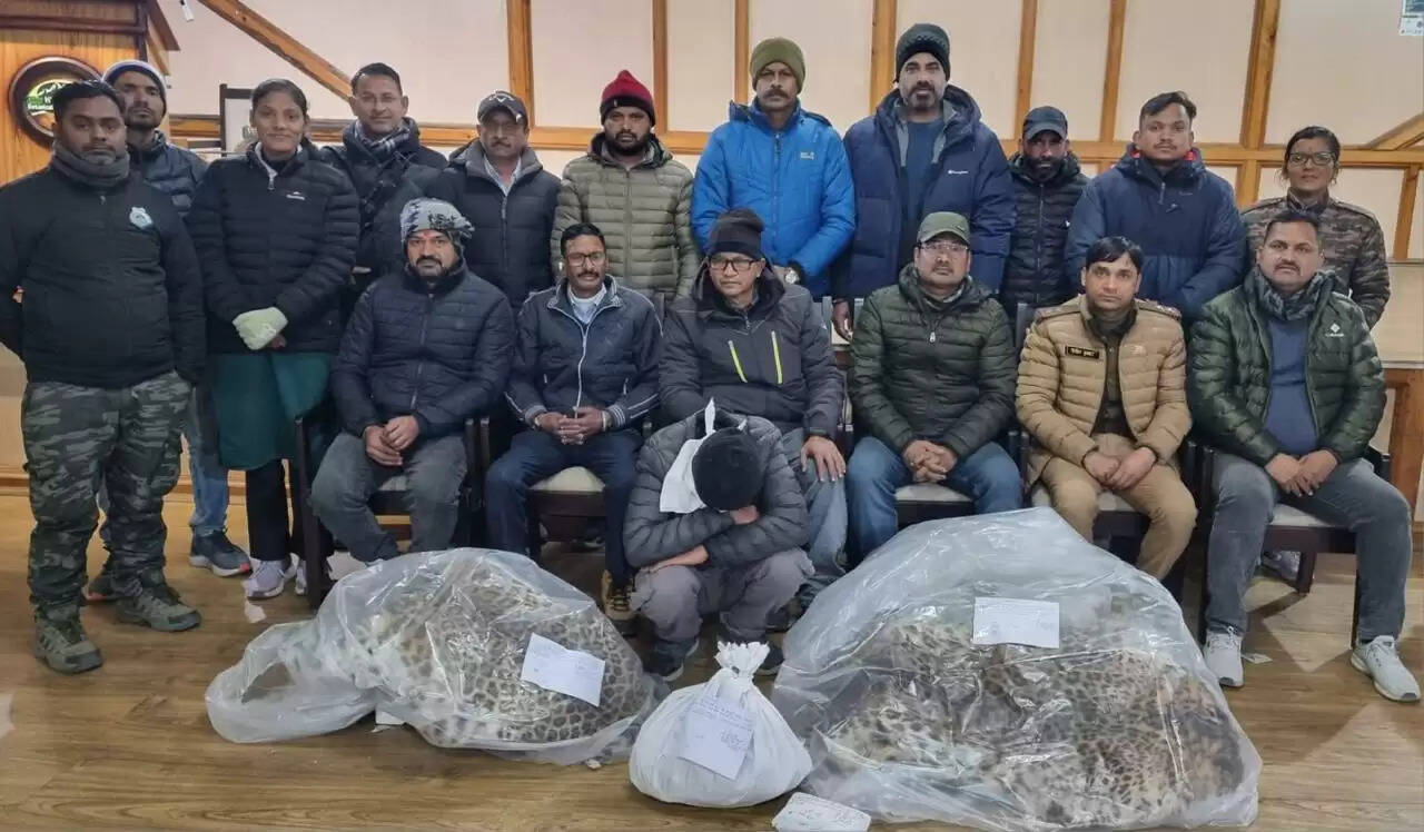 किलबरी पंगूट मार्ग पर गुलदार की दो खालों सहित वन्य जीव तस्कर गिरफ्तार