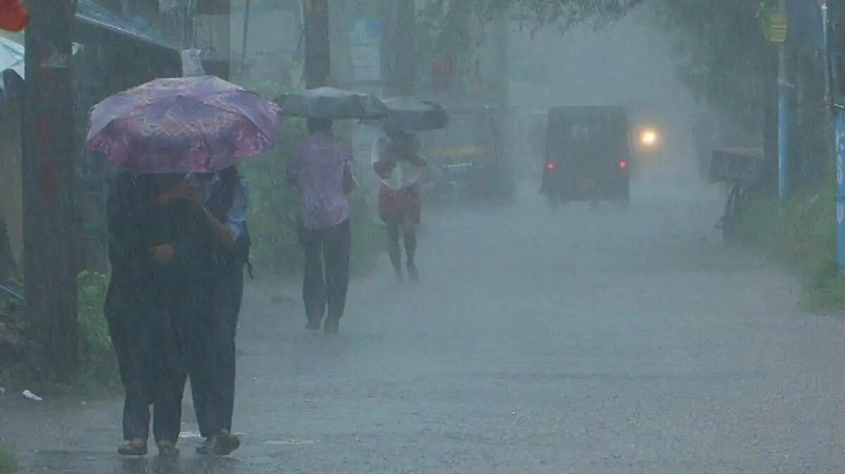 गुजरात में मानसून फिर सक्रिय, दक्षिण गुजरात में ऑरेंज, 17 जिलों में येलो अलर्ट