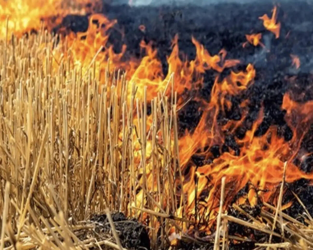 कठुआ में पराली जलाने पर प्रतिबंध, उल्लंघन करने पर होगी कड़ी कार्रवाई