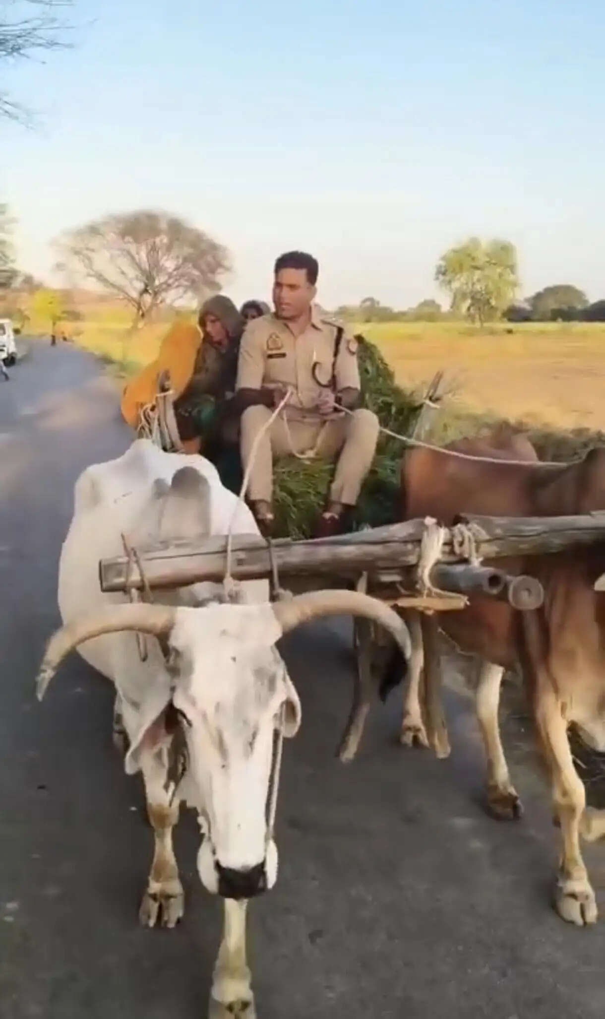 सीओ रविकांत गौड़ ने हांकी बैलगाड़ी, लोगों को भा रहा साहब का देशी अंदाज