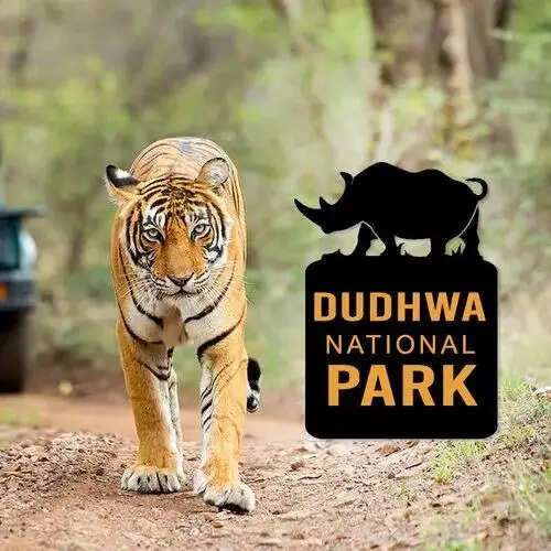 पर्यटकों को भाए पीलीभीत व दुधवा टाइगर रिजर्व, एक लाख से अधिक आए पर्यटक