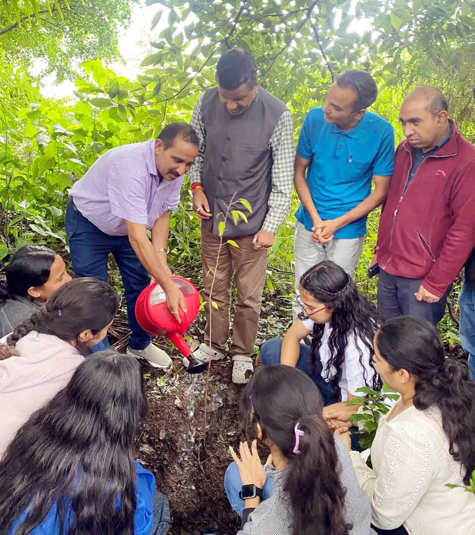 मिशन ग्रीन के तहत डीएसबी परिसर में पौधारोपण