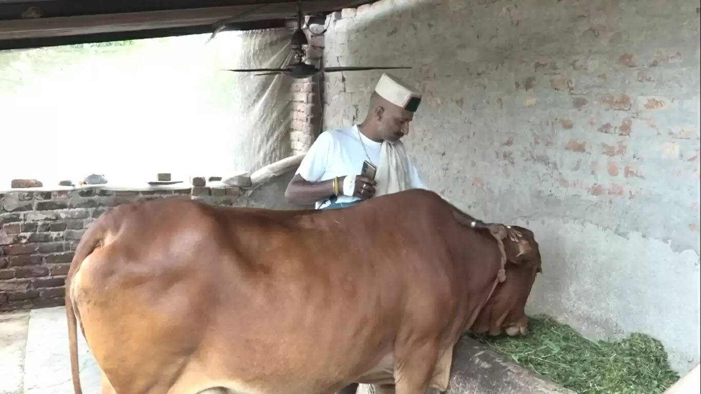 हमीरपुर के किसान कृष्ण चंद ने समग्र खेती से खड़ा किया सफल स्वरोजगार मॉडल, युवाओं के लिए बने प्रेरणा स्रोत