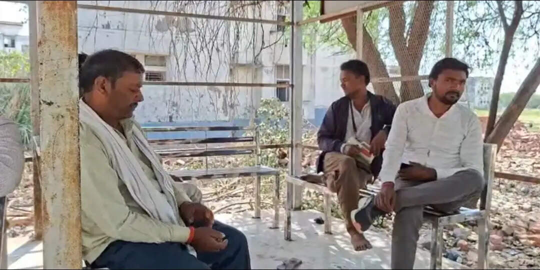 वन विभाग के चौकीदार का शव जंगल में मिला, हत्या का आराेप