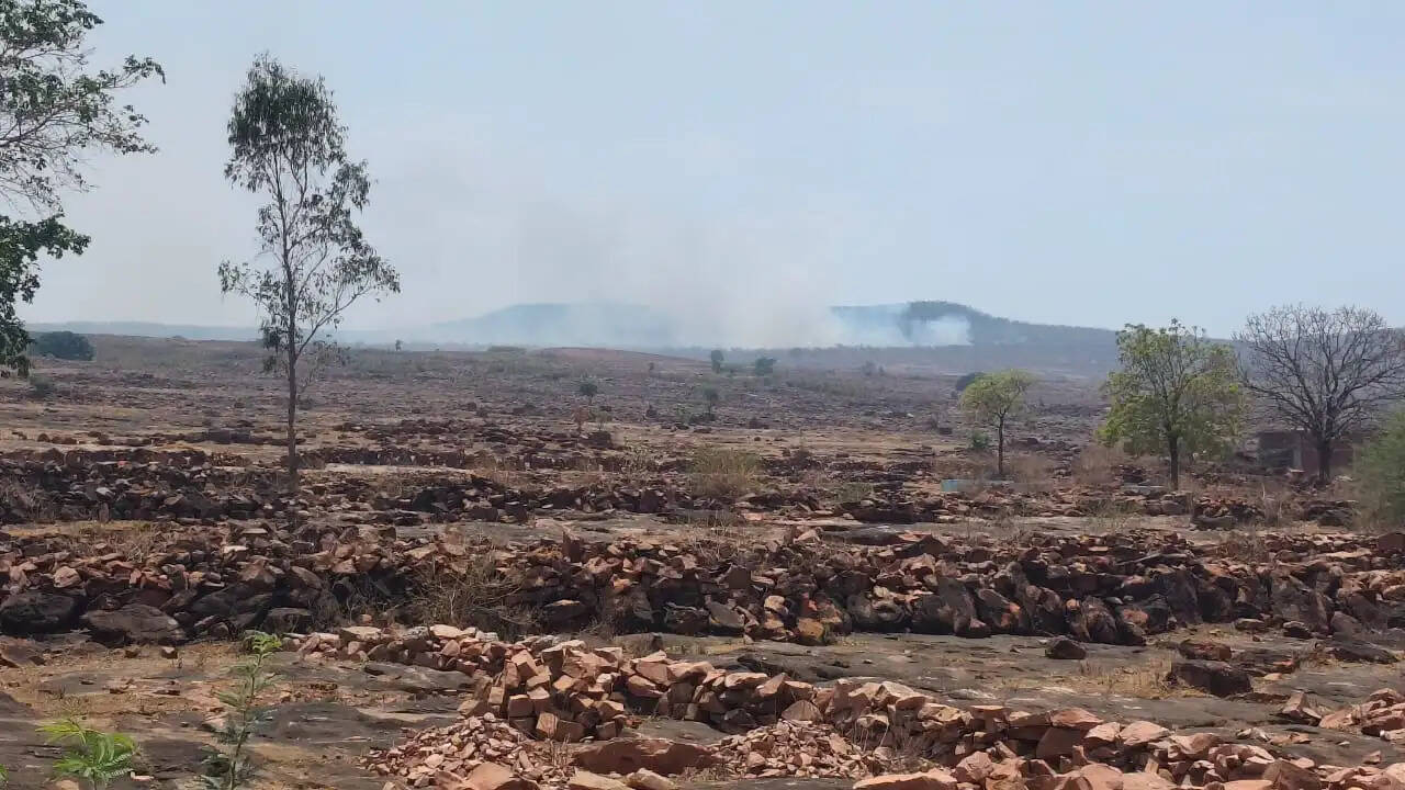 रीवा : विंध्य के जंगलों में भीषण आग, बुझाने में जुटे दमकल कर्मी और वन्य प्रेमी