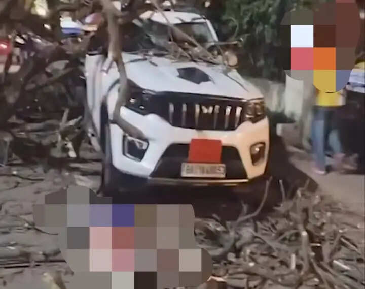 गुवाहाटी में चलती गाड़ियों पर गिरा विशाल पेड़, कई लोगों के घायल होने की आशंका