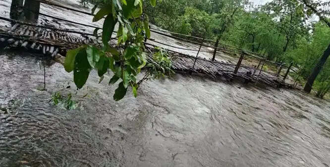 अबूझमाड़ के 14 गांवों में आईटीबीपी ने लकड़ी के अस्थायी 'फुट ब्रिज बनाकर दी राहत