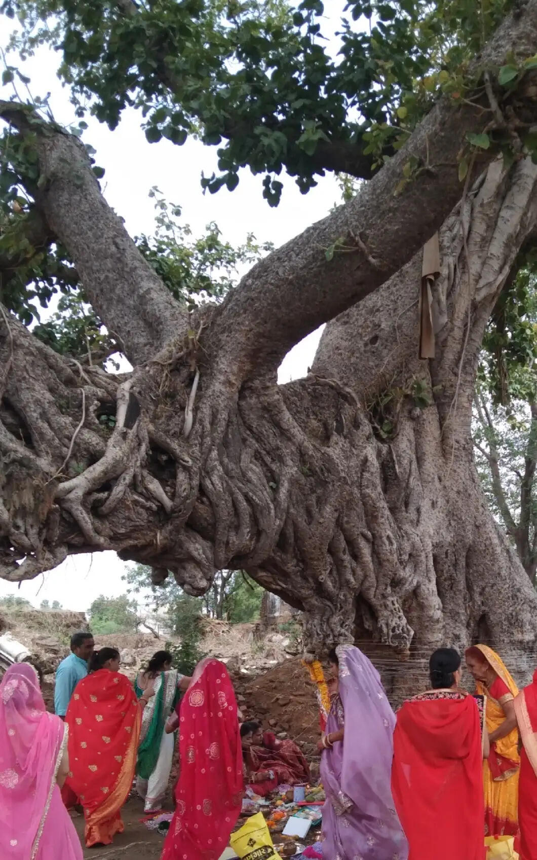 झाबुआ: ज्येष्ठ पूर्णिमा पर वट सावित्री पूजा के साथ श्रीहरि विष्णु मंदिरों में किया गया ज्येष्ठा अभिषेक