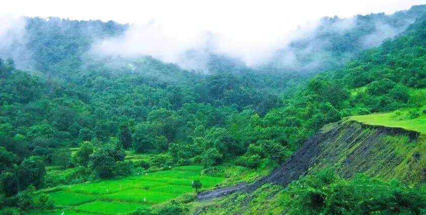 कोंकण के दक्षिणी हिस्से में मानसून की दस्तक, जल्द पूरे महाराष्ट्र में पहुंचेगा