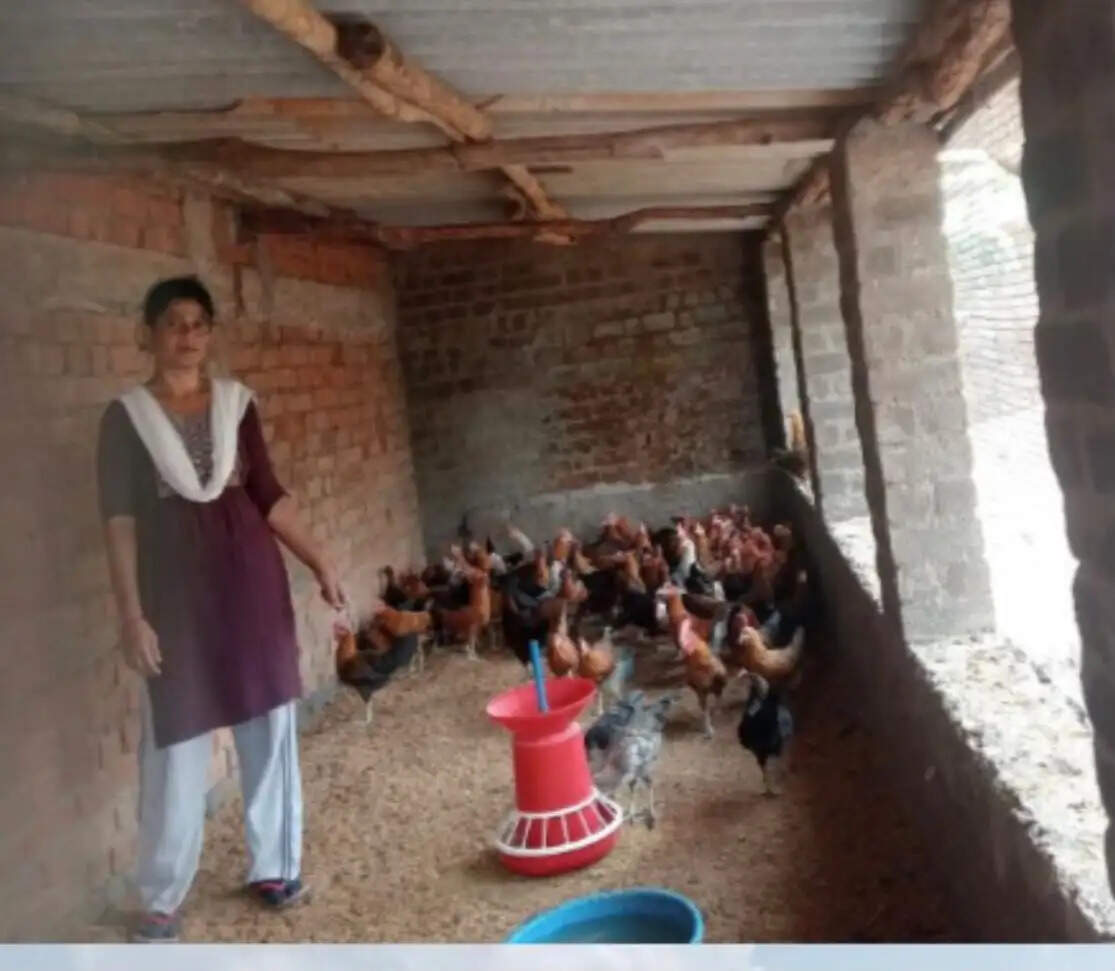 सक्षम योजना से सफीना ने बदली जिंदगी की राह, मुर्गी-खरगोश पालन से बनीं आत्मनिर्भर